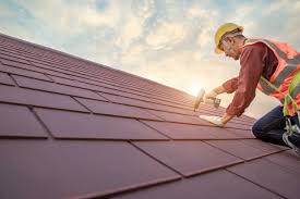 Best Roof Maintenance and Cleaning  in Fredericksburg, TX